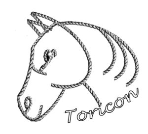 Toricon